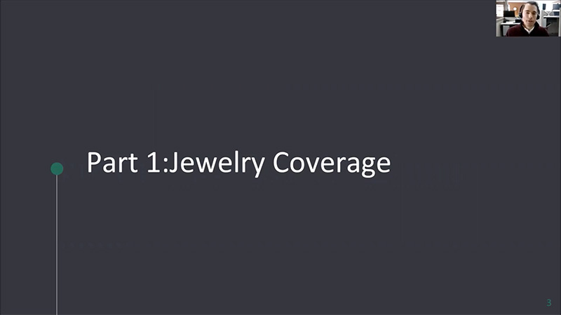 jewelry coverage
