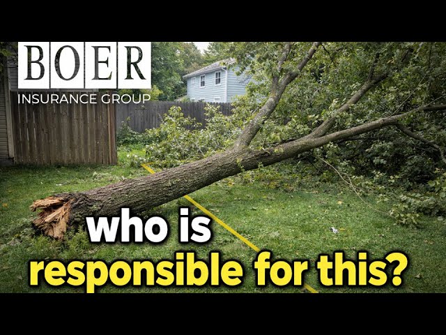is my neighbor responsible when their tree falls